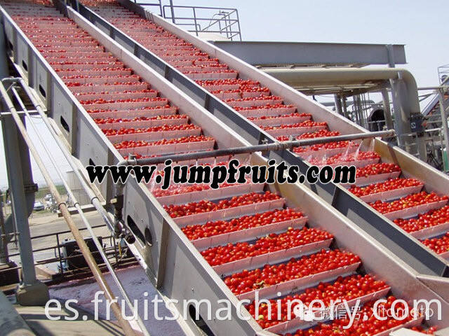 Fruits Juice Machinery